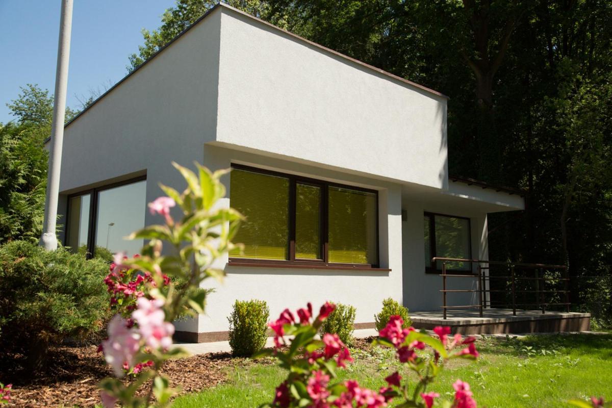 Camping Oaza Blonie Kornik Domki Standard Plus - 3 Pokoje Luaran gambar