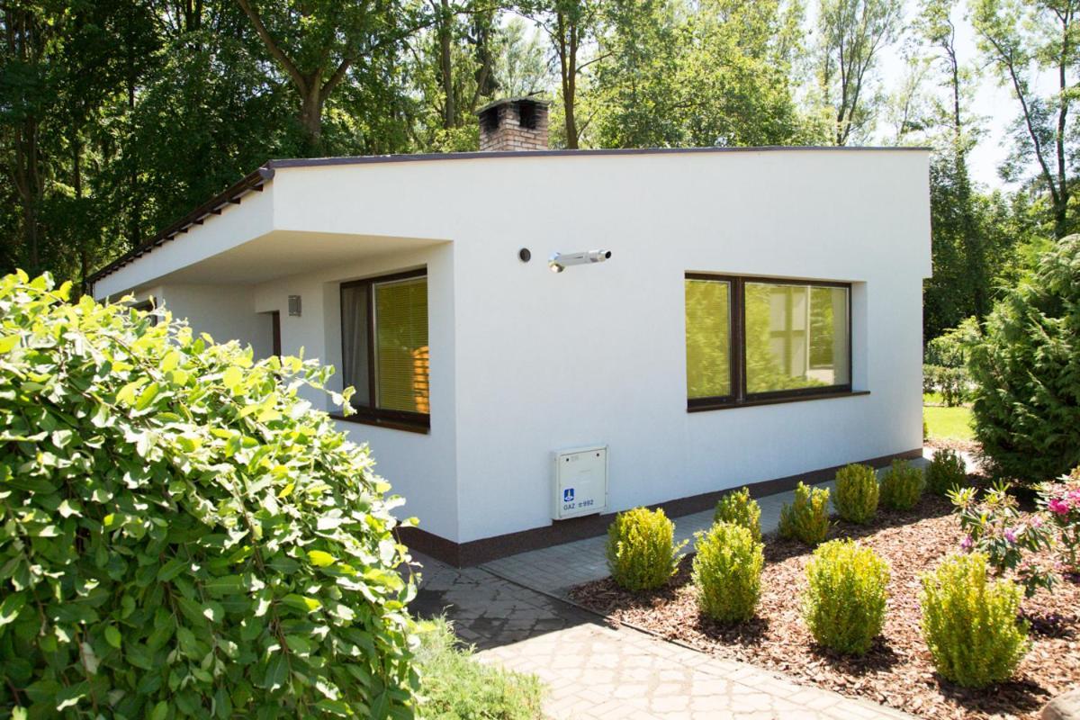Camping Oaza Blonie Kornik Domki Standard Plus - 3 Pokoje Luaran gambar