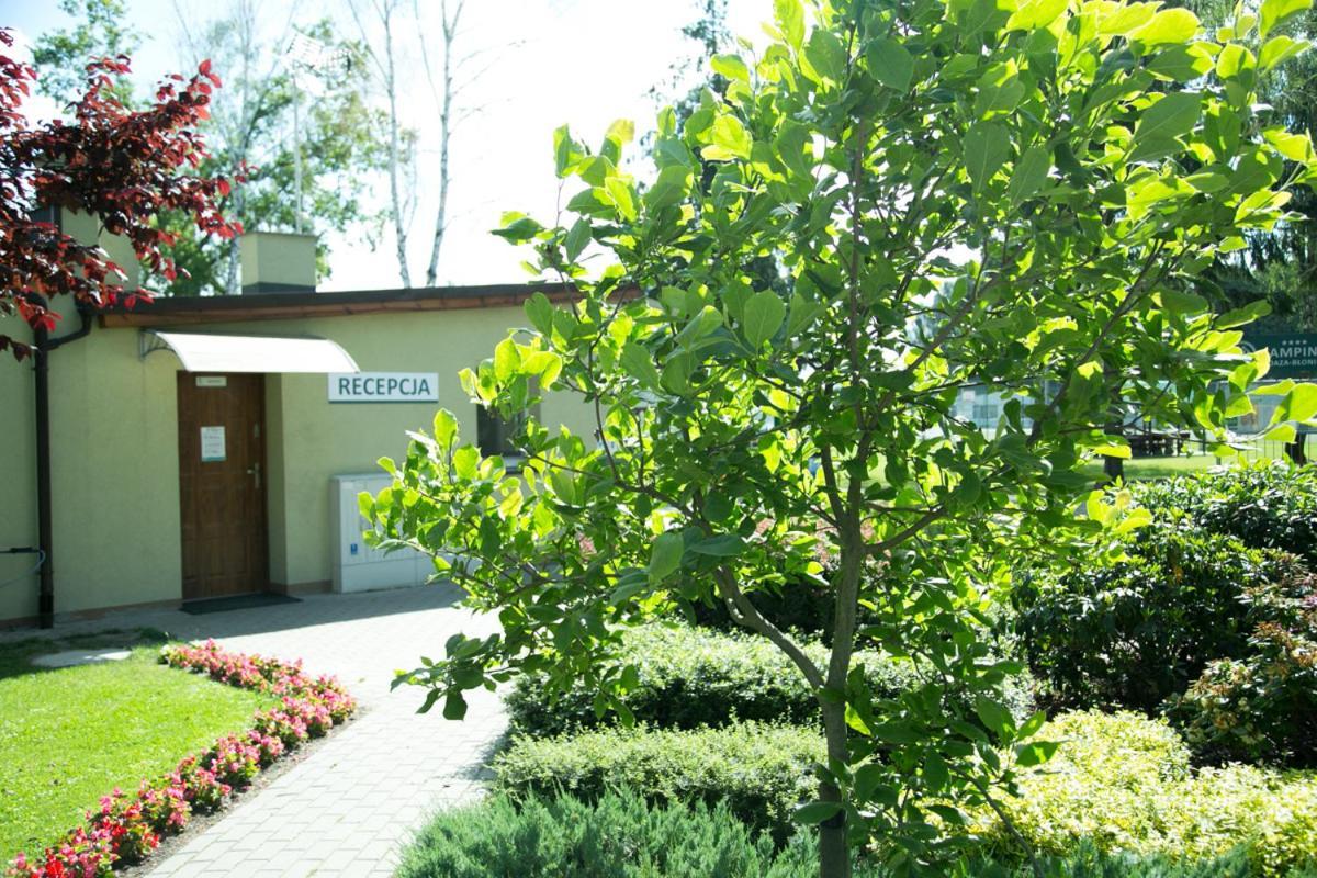 Camping Oaza Blonie Kornik Domki Standard Plus - 3 Pokoje Luaran gambar
