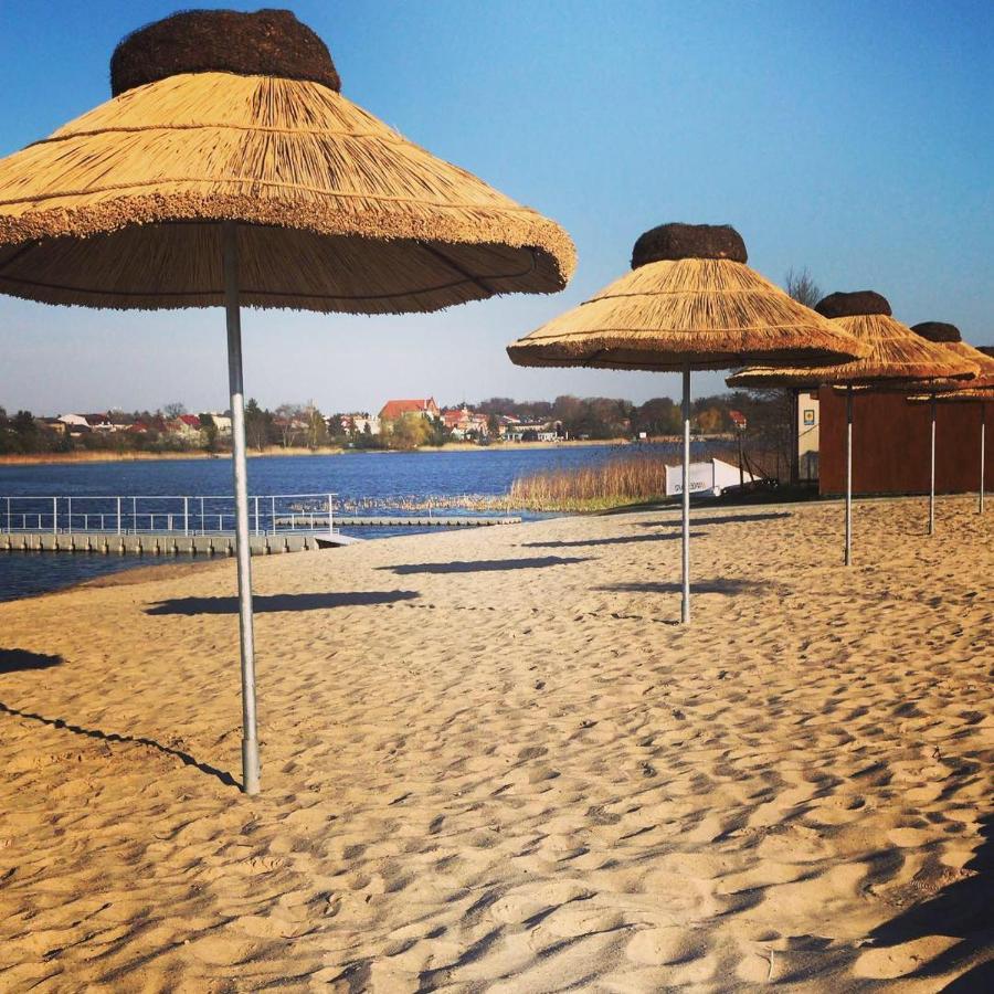 Camping Oaza Blonie Kornik Domki Standard Plus - 3 Pokoje Luaran gambar