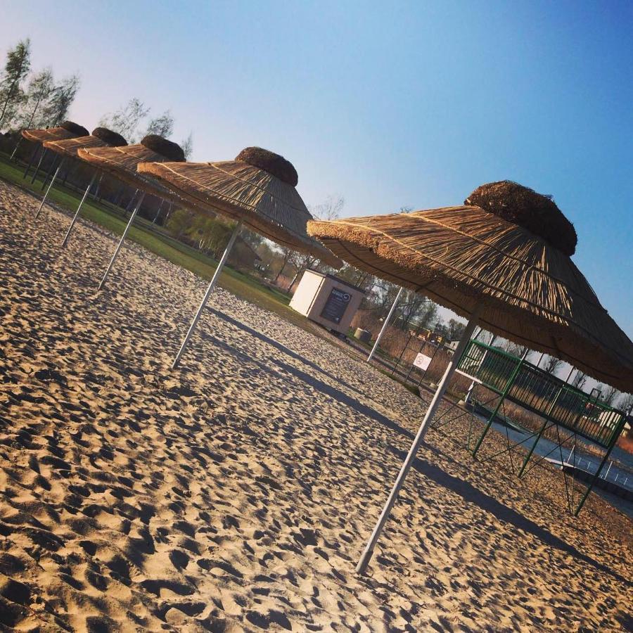 Camping Oaza Blonie Kornik Domki Standard Plus - 3 Pokoje Luaran gambar